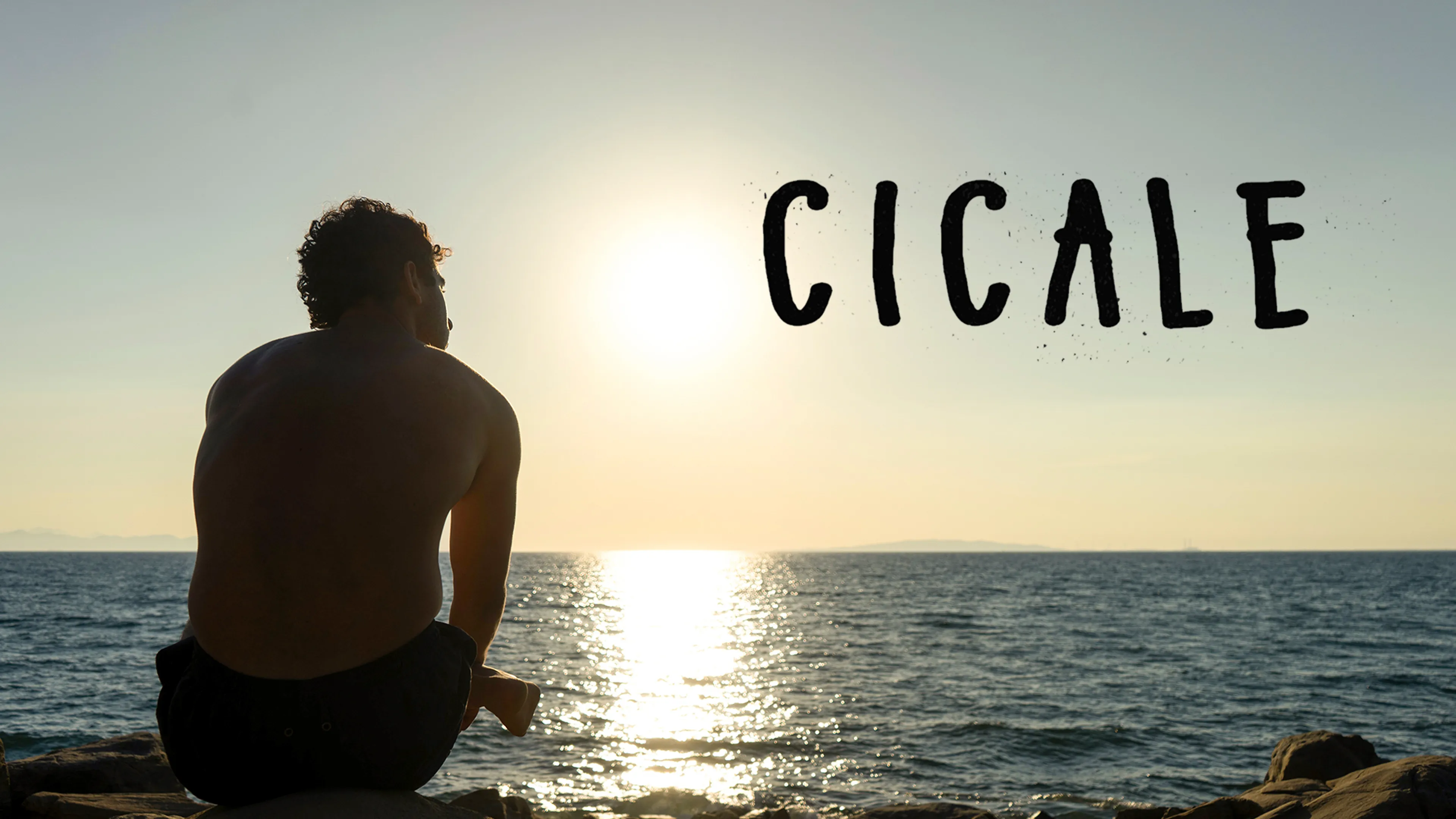 Cicale poster
